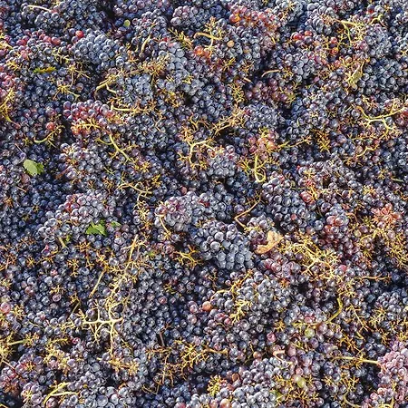 La Presura Κατάλυμα σε φάρμα Strada in Chianti