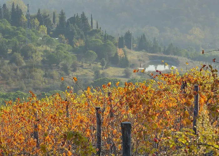 팜스테이 La Presura *