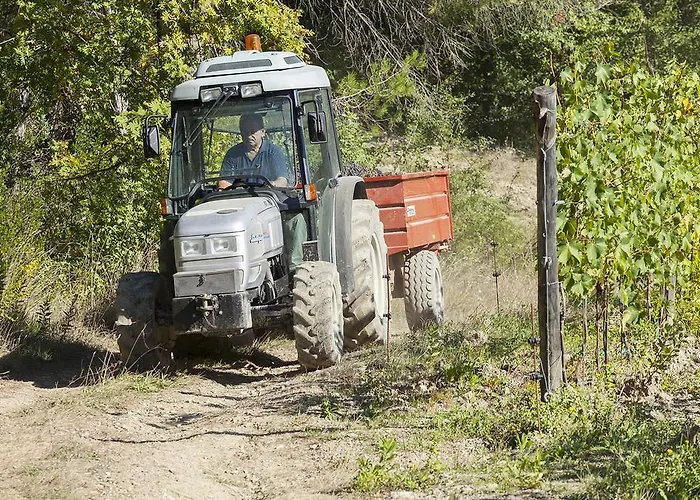 팜스테이 La Presura