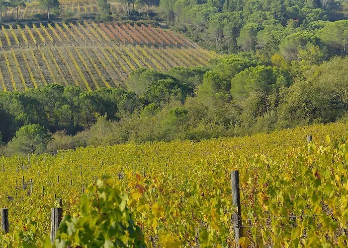 La Presura 팜스테이 *