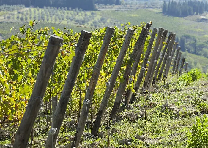 La Presura 팜스테이 스트라다